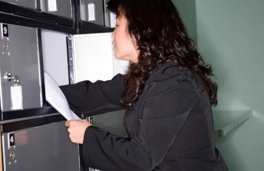 אחסון יצירות אמנות2